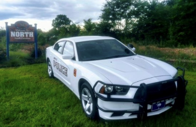 police car 1